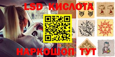прущие грибы Кингисепп