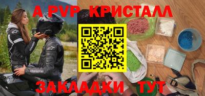 прущие грибы Кингисепп